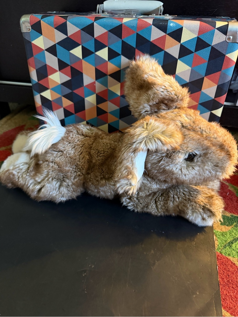 Douglas Dlux Co Co Floppy Tipped Bunny Stuffed Animal Plush Realistic Soft Toy